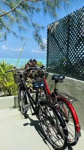 bicycle-available-bungalow-bora-bora